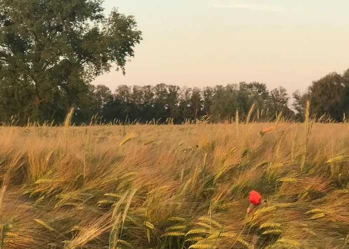 בית נופש Mare גדנסק